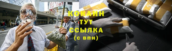 трава Кизел