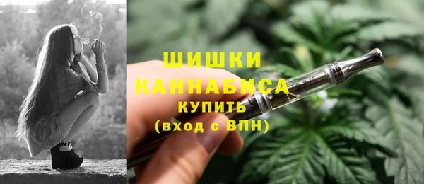 дмт Кемь