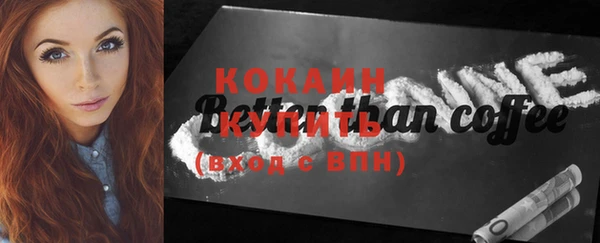 дмт Кемь