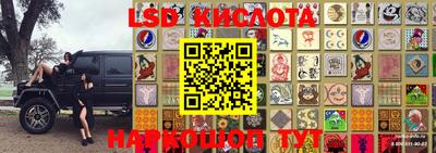 СК Волгодонск