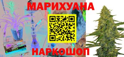 сатива Славгород