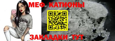 сатива Славгород