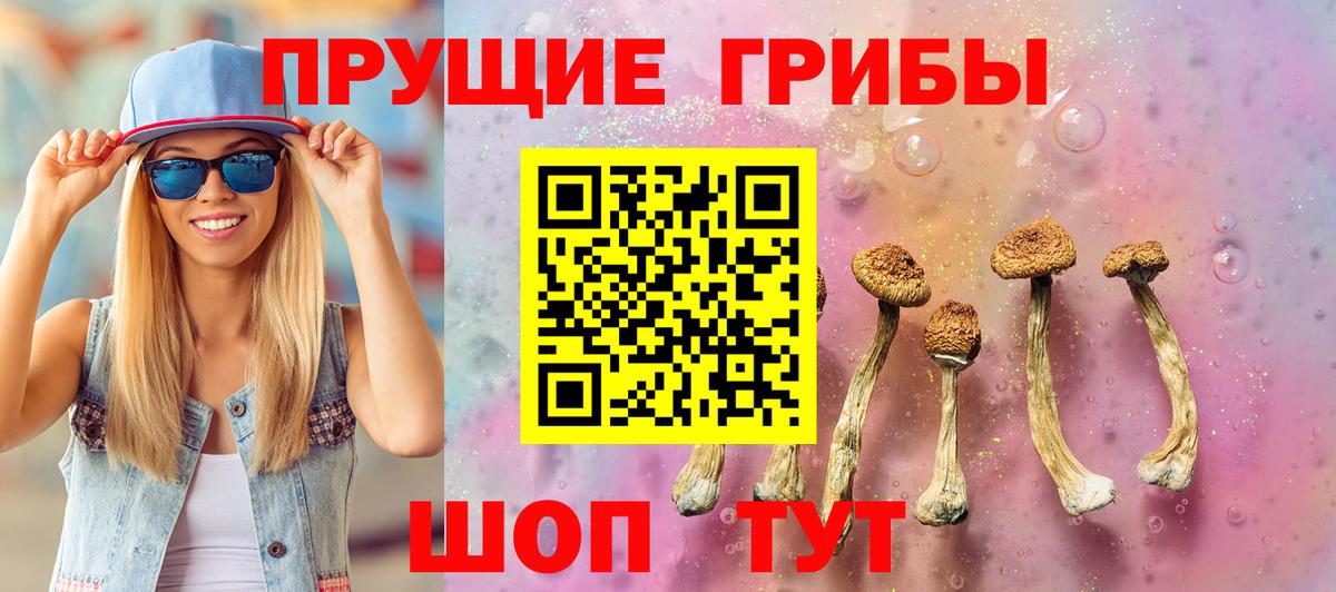 Галлюциногенные грибы GOLDEN TEACHER Курганинск