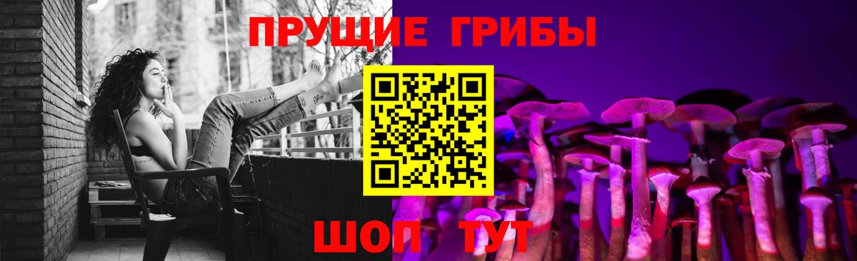 Псилоцибиновые грибы Cubensis  Курганинск 