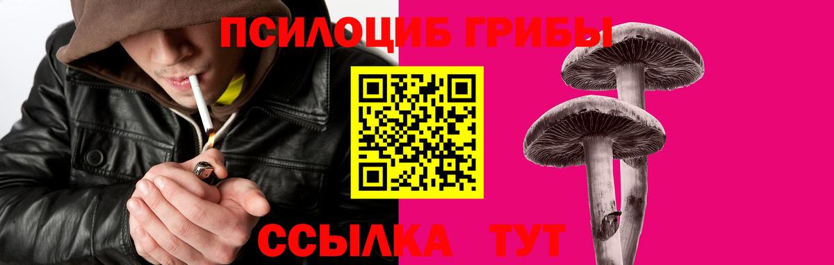 Псилоцибиновые грибы GOLDEN TEACHER Курганинск
